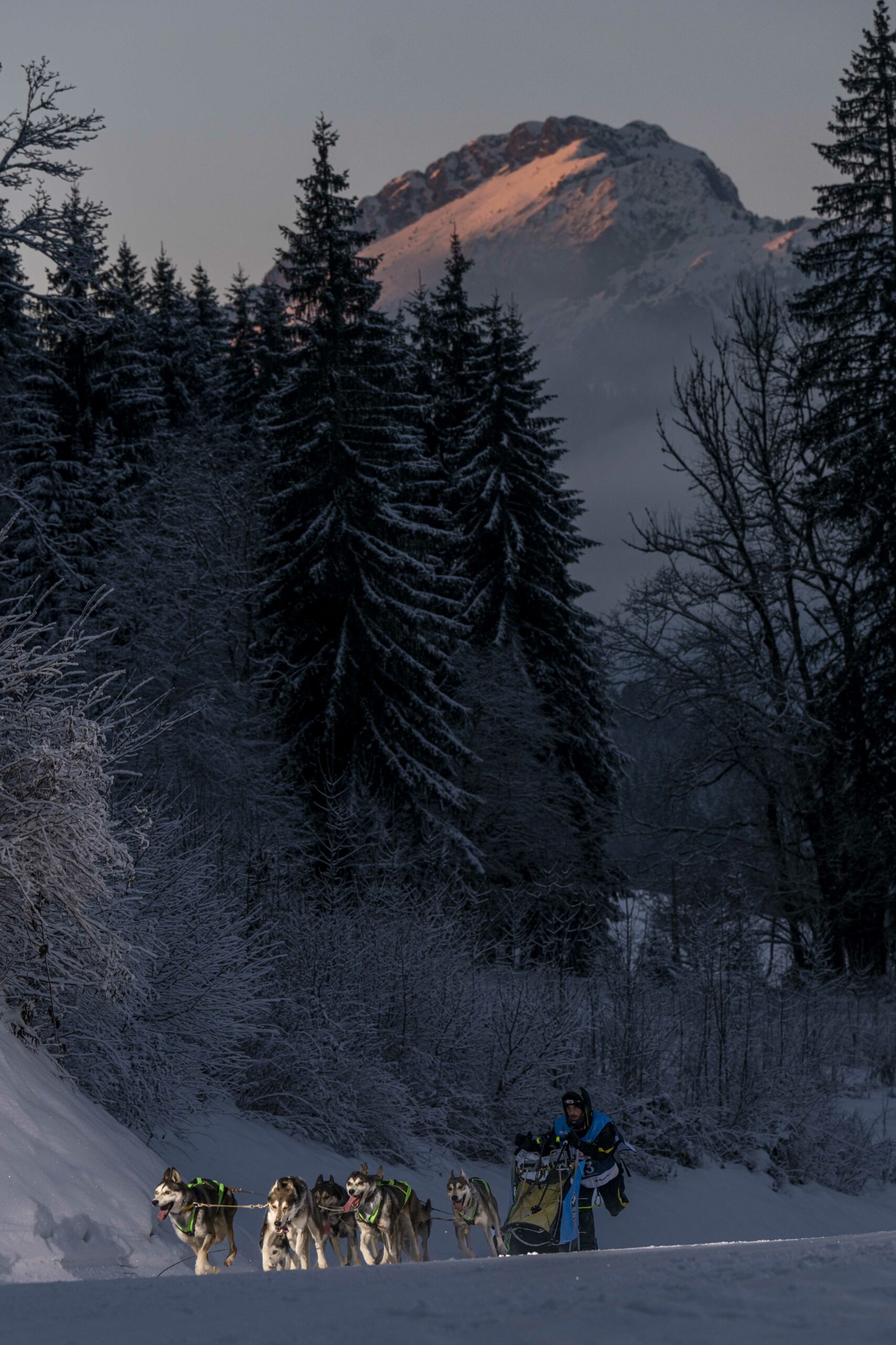 130125 - Z8 - DSC_4469