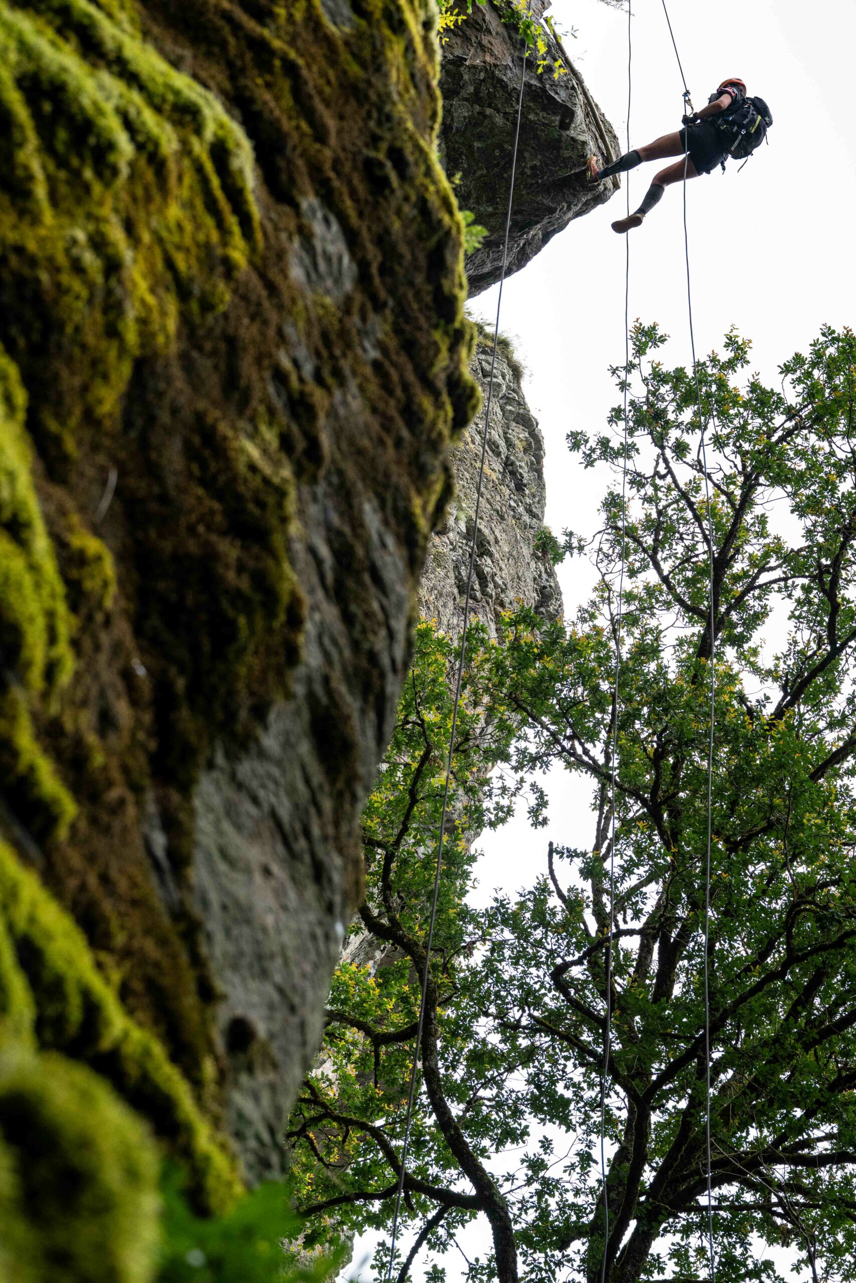 010724 - Z8 - DSC_4784