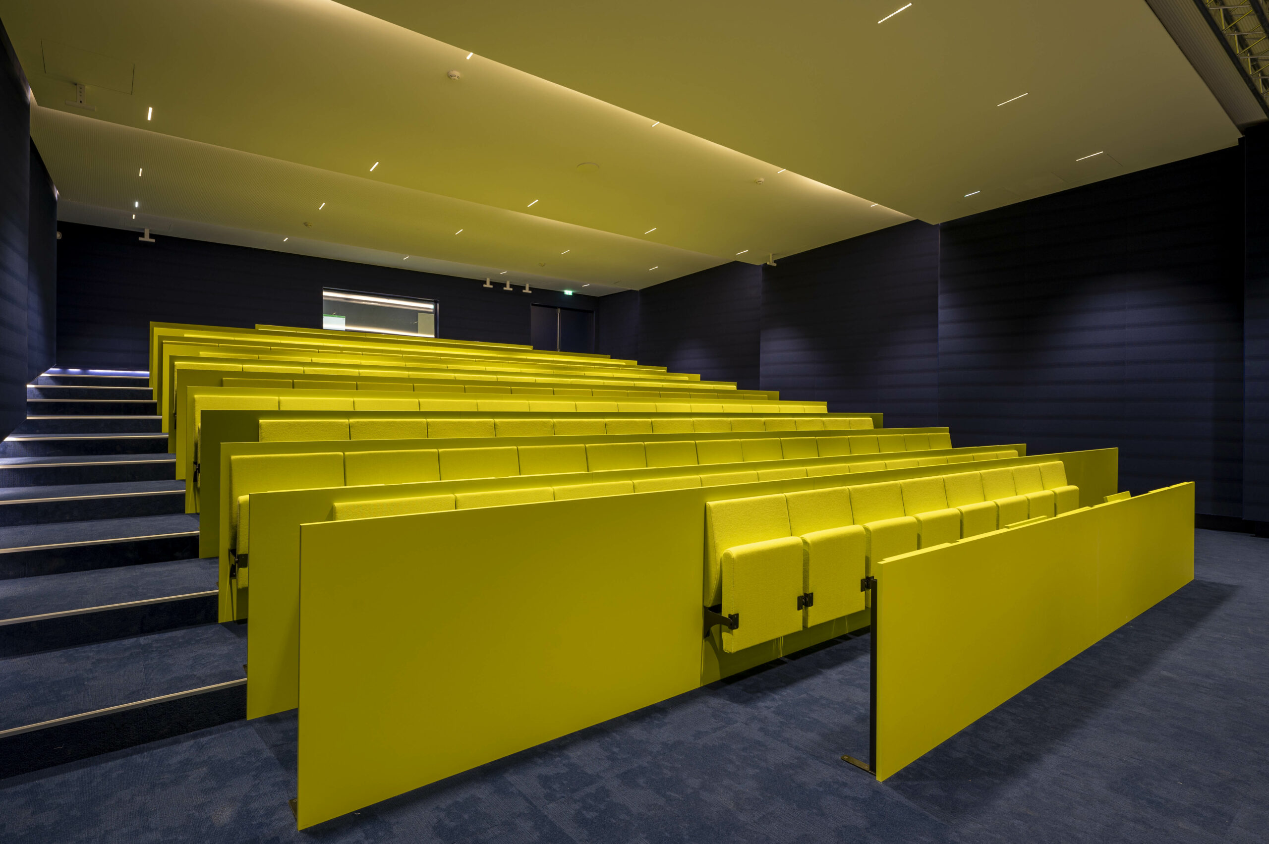 06.07.23 -DSC_6913-Modifier