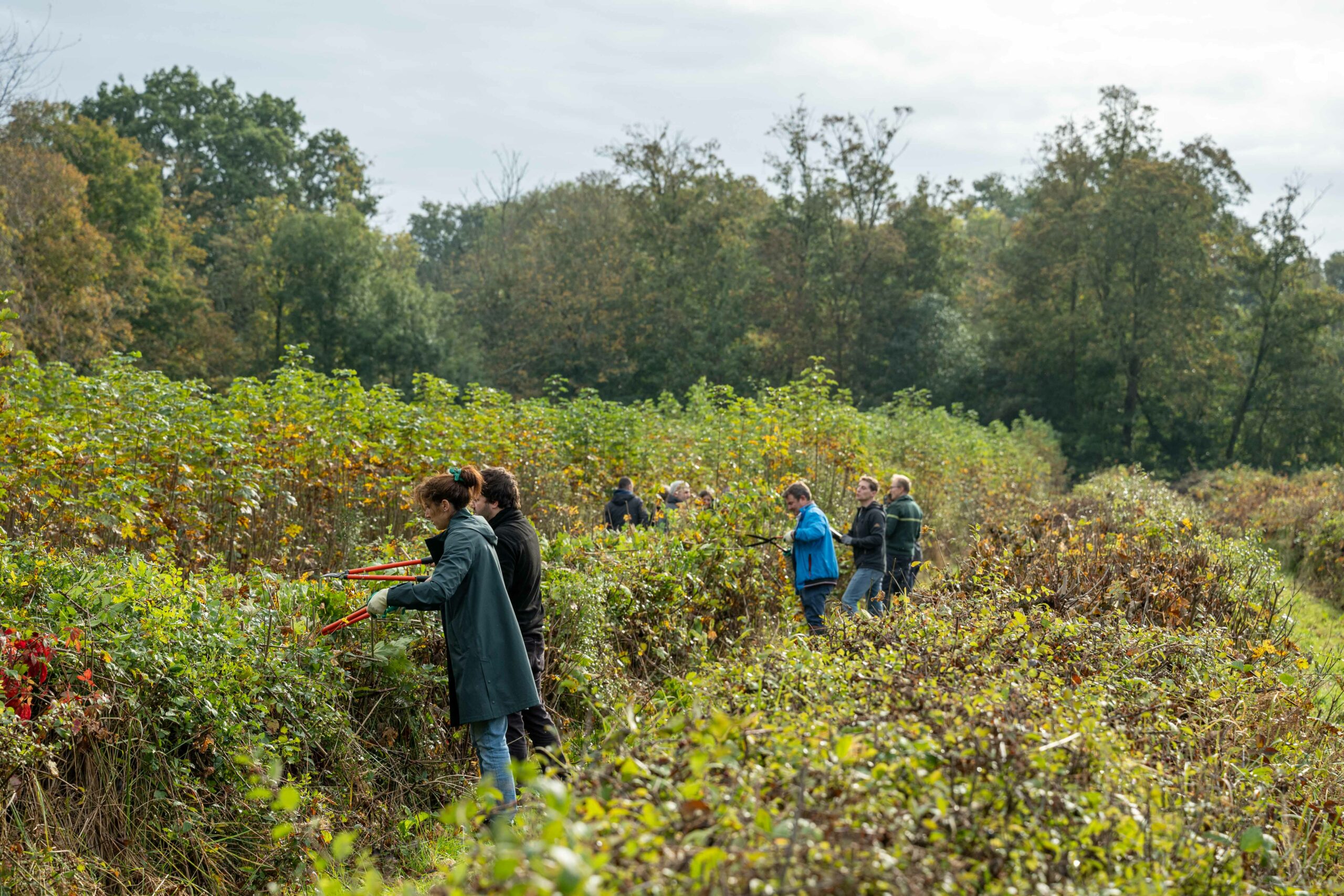 081024 - Z6III - DSC_1970